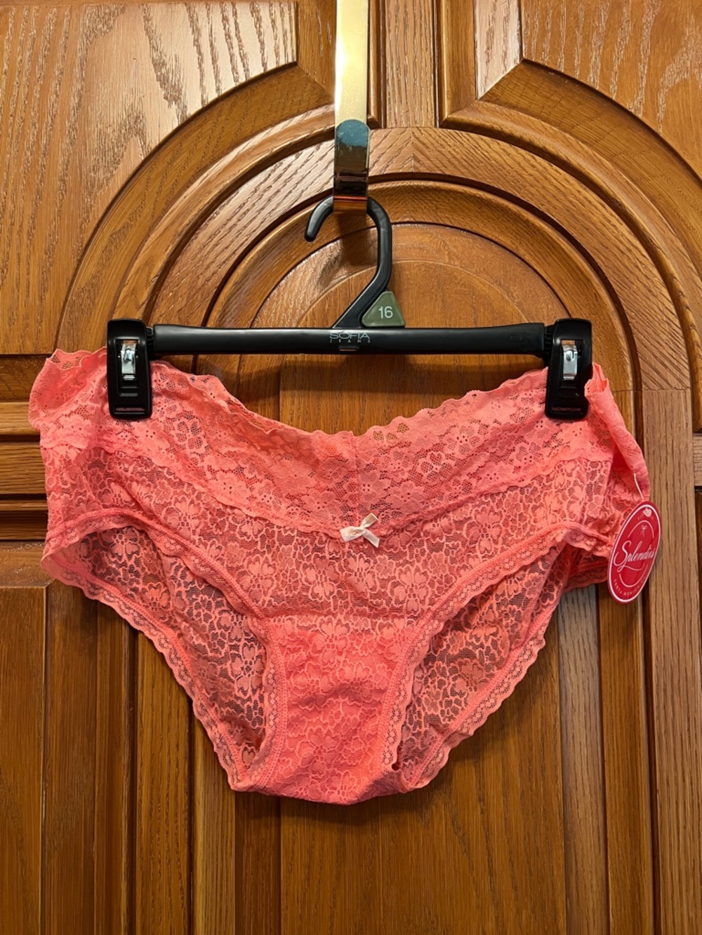 Women's Lace Bikini Panty in Coral Pink - Comfortable Stretch Lace